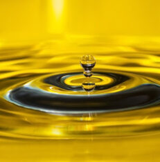 BASE Oil